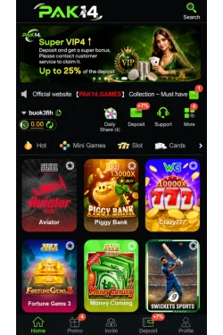 Pak14 game