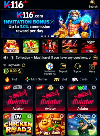 K116 Game